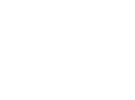 Чудо-доктор (Турция)
