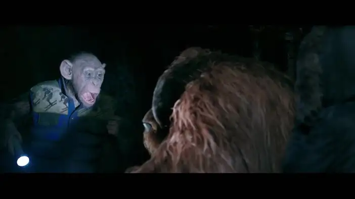 Фрагмент 4 (английский язык)