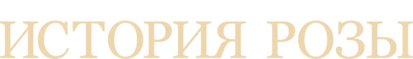 История Розы (дорама 2024)