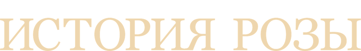 Rose hikoyasi (seriallar 2024) - o‘zbek tilida tarjima