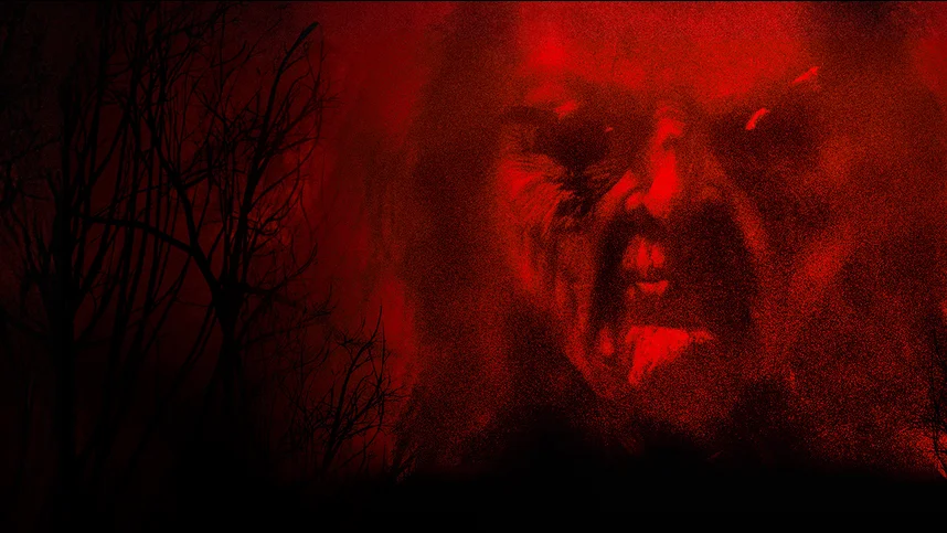 Реинкарнация. Возвращение ведьмы