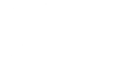 Дом с лилиями (сериал 2013)