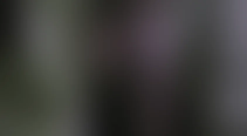 Сочувствие господину Месть