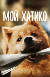 Мой Хатико