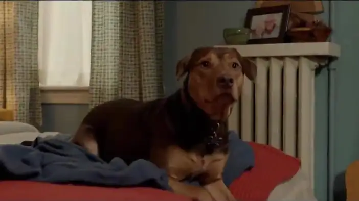 Трейлер 2 (английский язык)