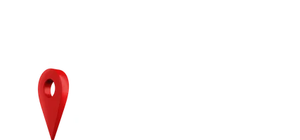 Трезвый водитель