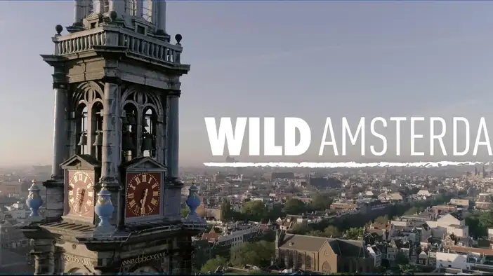 Трейлер (русский язык)