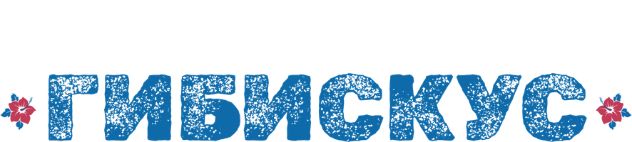 Фильм Гибискус