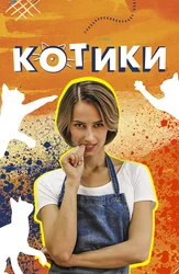 Котики