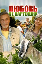 Любовь — не картошка