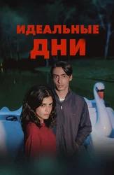 Идеальные дни