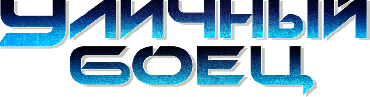 Уличный боец (Фильм, 2009)