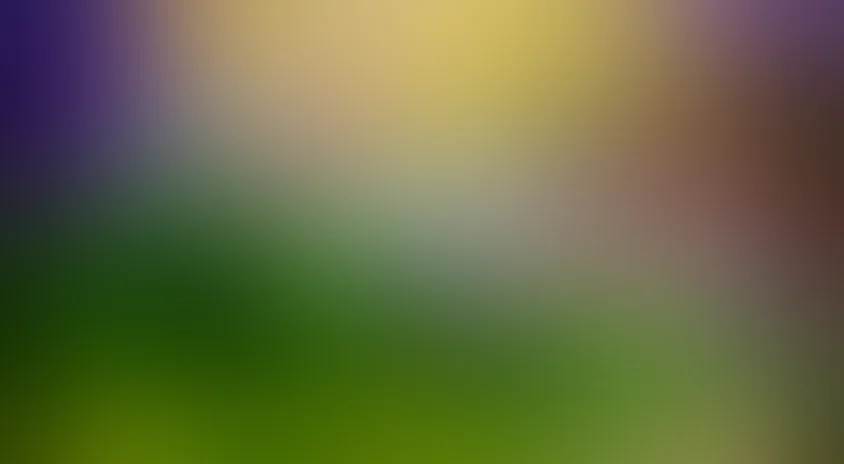 В мире чудес