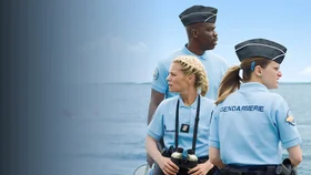 Yopiq dengiz: Akula yili