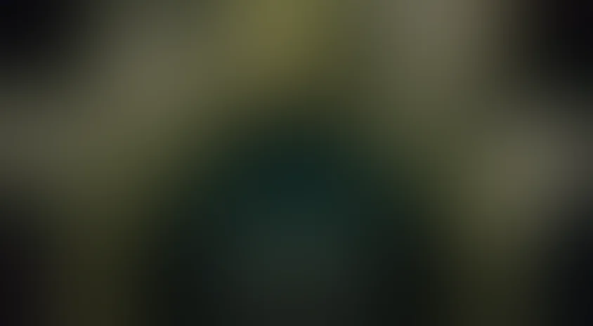 Два в одном