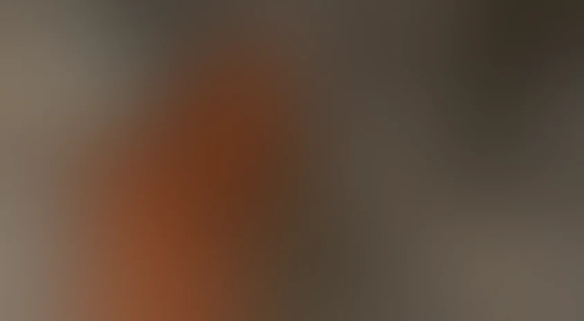 Последняя охота