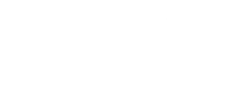 Участок лейтенанта Качуры