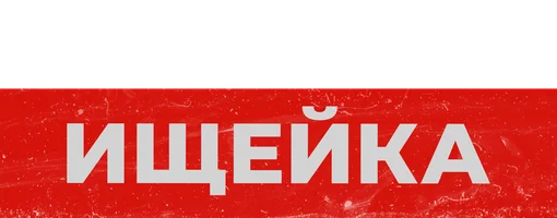 Ищейка