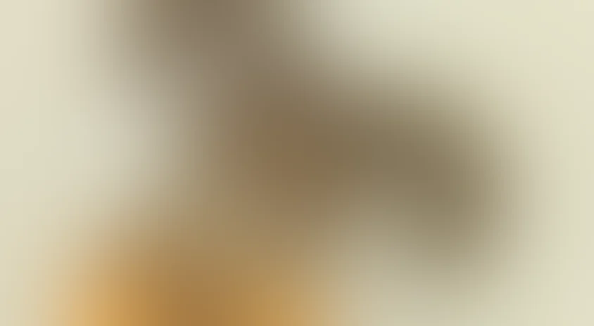 Лиса и Заяц