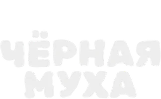 Чёрная муха