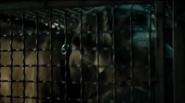 Трейлер (английские субтитры)