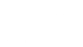 Частное пионерское 2