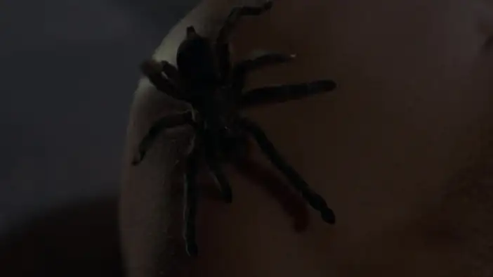 Фрагмент 2 (английский язык)