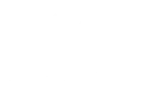 Флай: Танец свободы