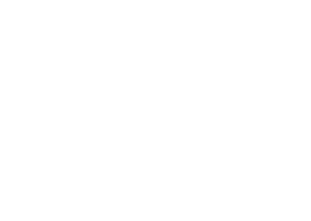 Fley: Ozodlik raqsi (kinolar 2021) - o‘zbek tilida tarjima