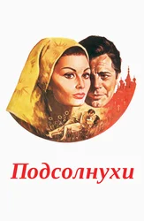 Подсолнухи