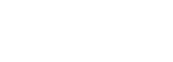 История одного назначения