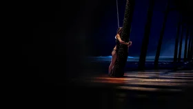 Расчленитель 2