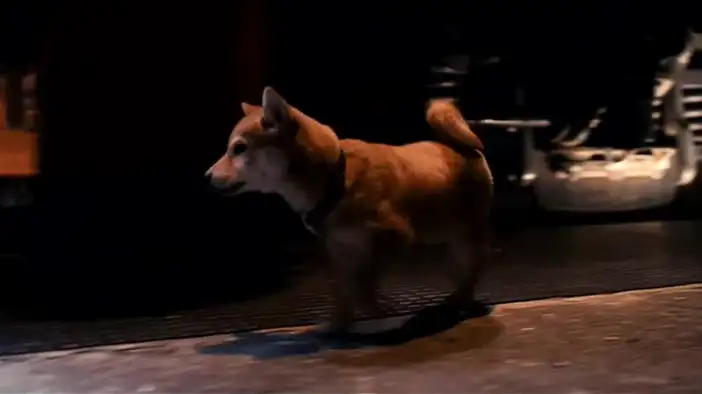 Трейлер (дублированный)