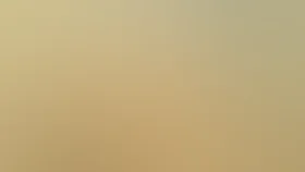 Всё для вас