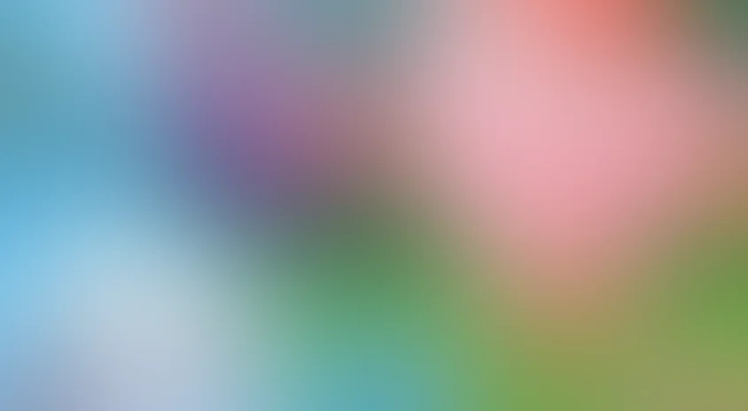 Смешарики: Азбука дружелюбия