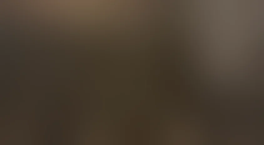 Белая Стрела. Возмездие