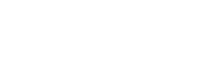 Victoria’s Secret. Империя ангелов. Елизавета Карагозова