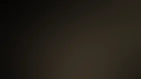 Люди и звери