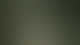 Затаившиеся