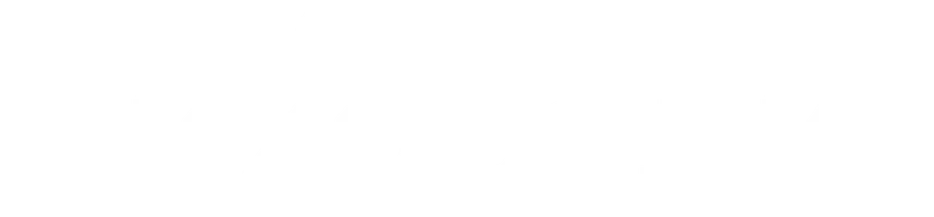Лихорадка (2004)