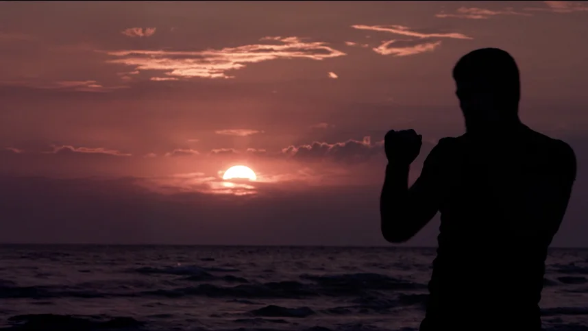 ММА. Битва с правилами