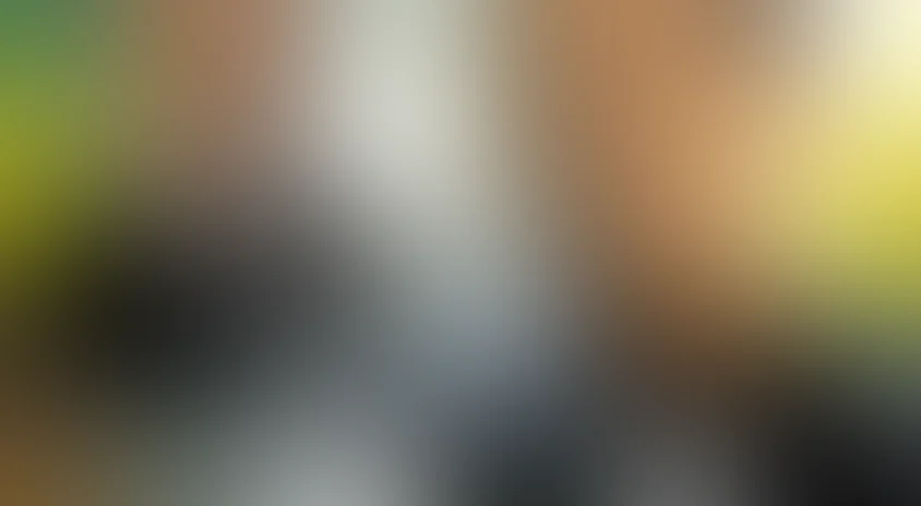 Виртуозность