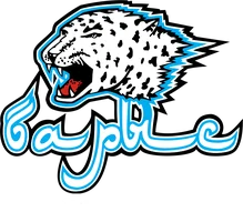 Вертикаль