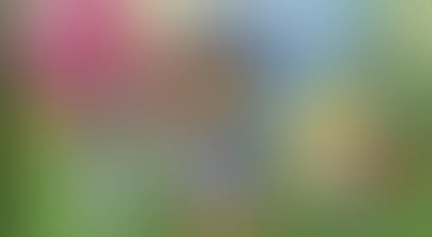 Kuchuklar patruli va Bulkaning maslahatlari barchaga: Yangi qahramonlar