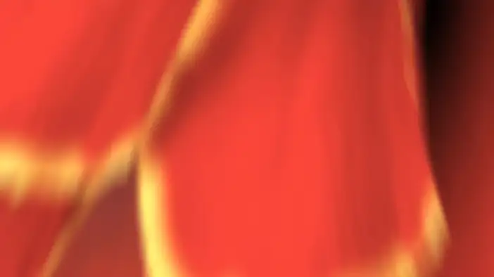 Трейлер 2 (русский язык)