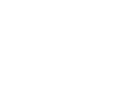 Семья черной мафии
