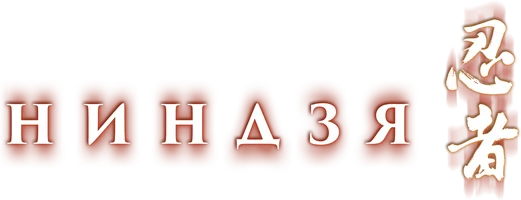 Ниндзя (фильм 2009)