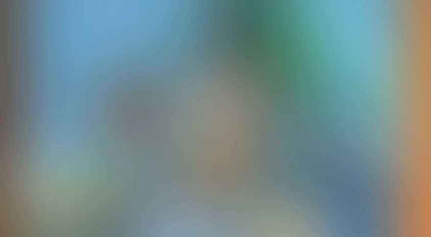 Расти-механик (на английском языке)