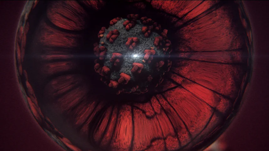 Эпидемия с Антоном Красовским: Всё о коронавирусе