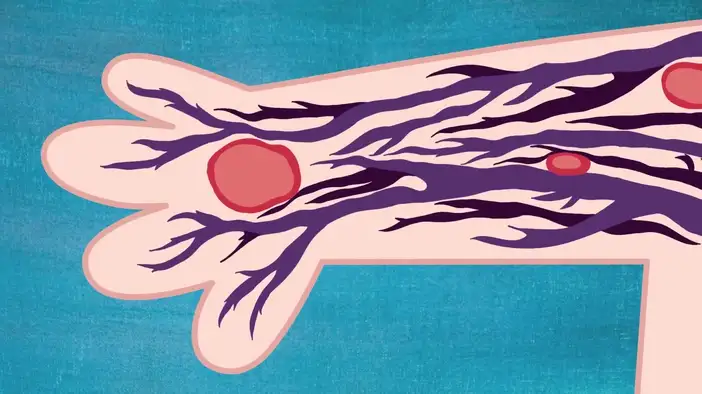 Вирусный ролик (английский язык)